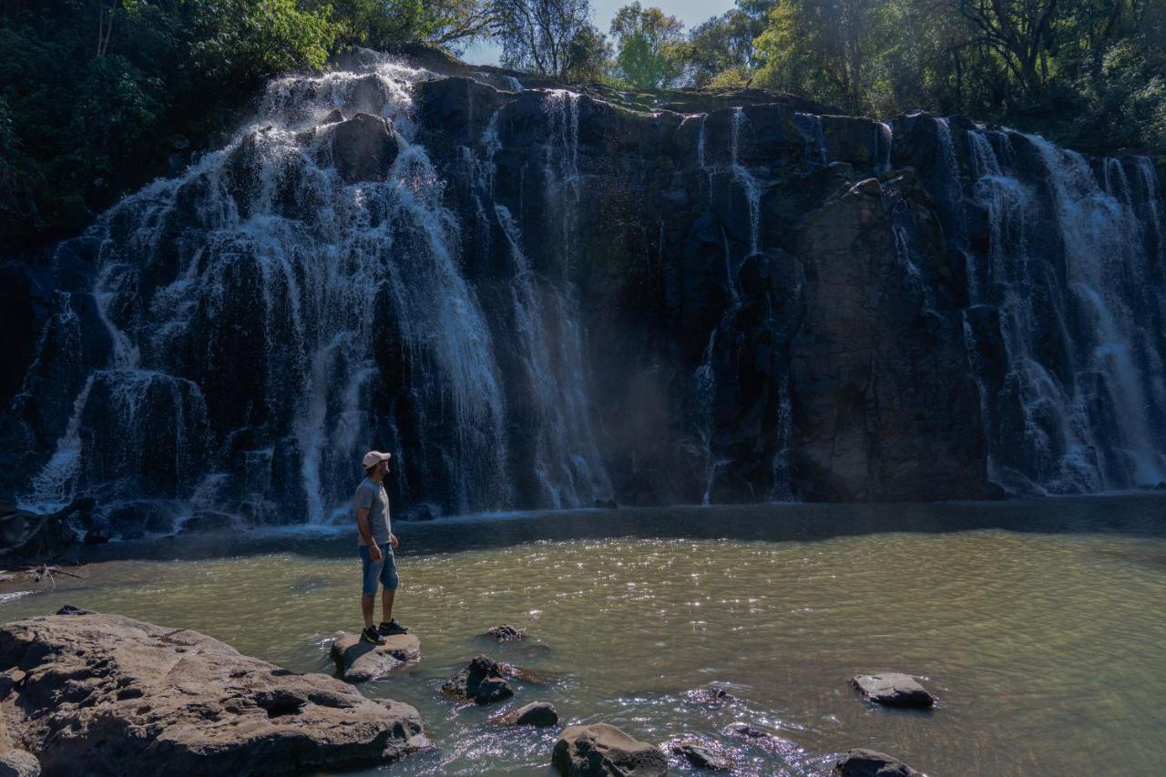Reserva Natural Iguazu - Pristine Luxury Camp Пуэрто-Либертад Экстерьер фото