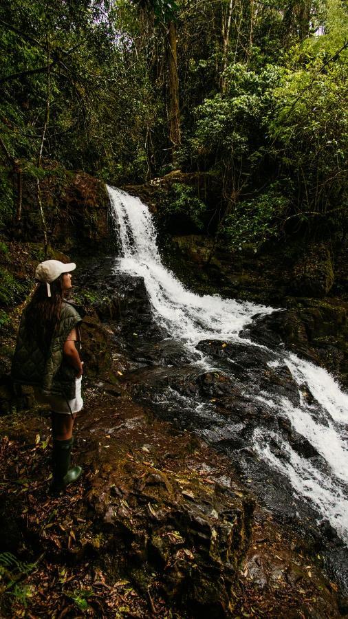 Reserva Natural Iguazu - Pristine Luxury Camp Пуэрто-Либертад Экстерьер фото